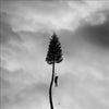 Manchester Orchestra | A Black Mile To The Surface (2LP Std Black)
