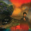 Sharon Van Etten | We've Been Going About This All Wrong (Ltd Ed Marbled Smoke*)