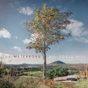 Waterboys, The | All Souls Hill (Std Black)